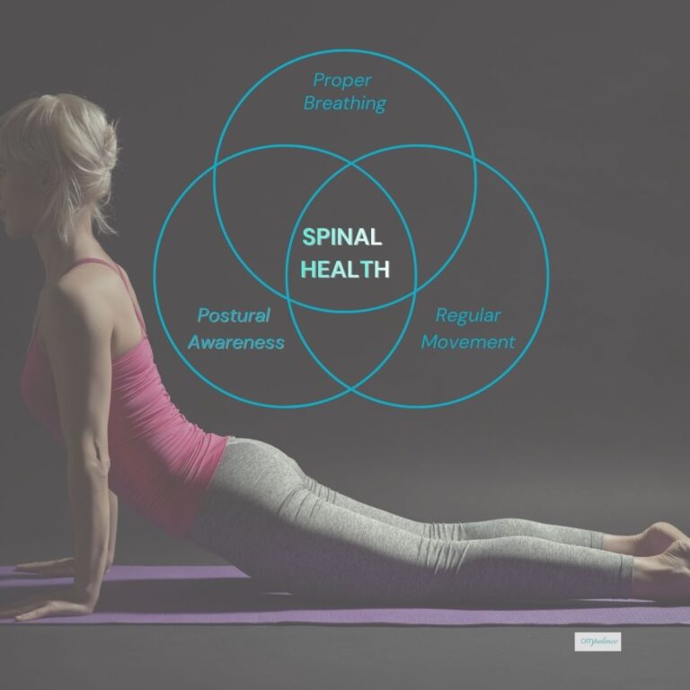 Spinal Health Is Not Just Bone Density